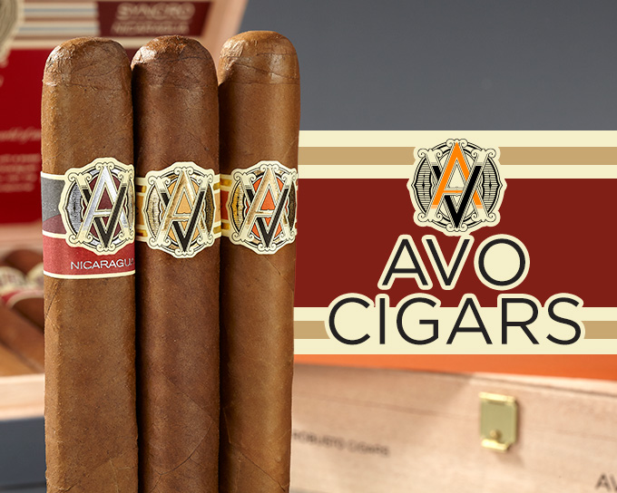 Explore All Avo Cigars Have to Offer | Shop Now!