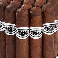 Pinar del Rio A Crop Oscuro Cigars