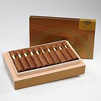 Room 101 Master Collection Two Cigars