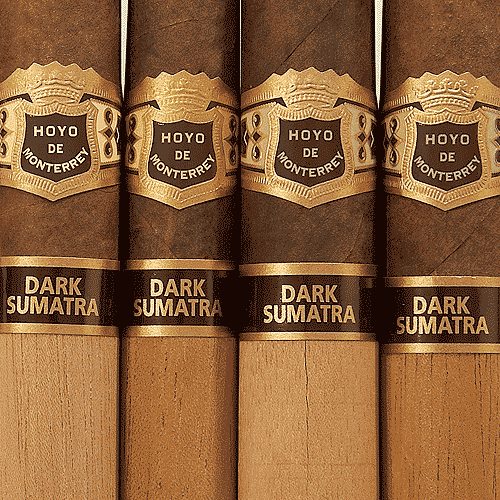 Hoyo de Monterrey Dark Sumatra Cigars