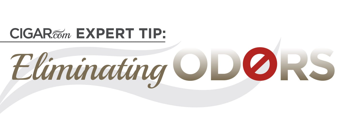 Expert Tip: Eliminating Odors