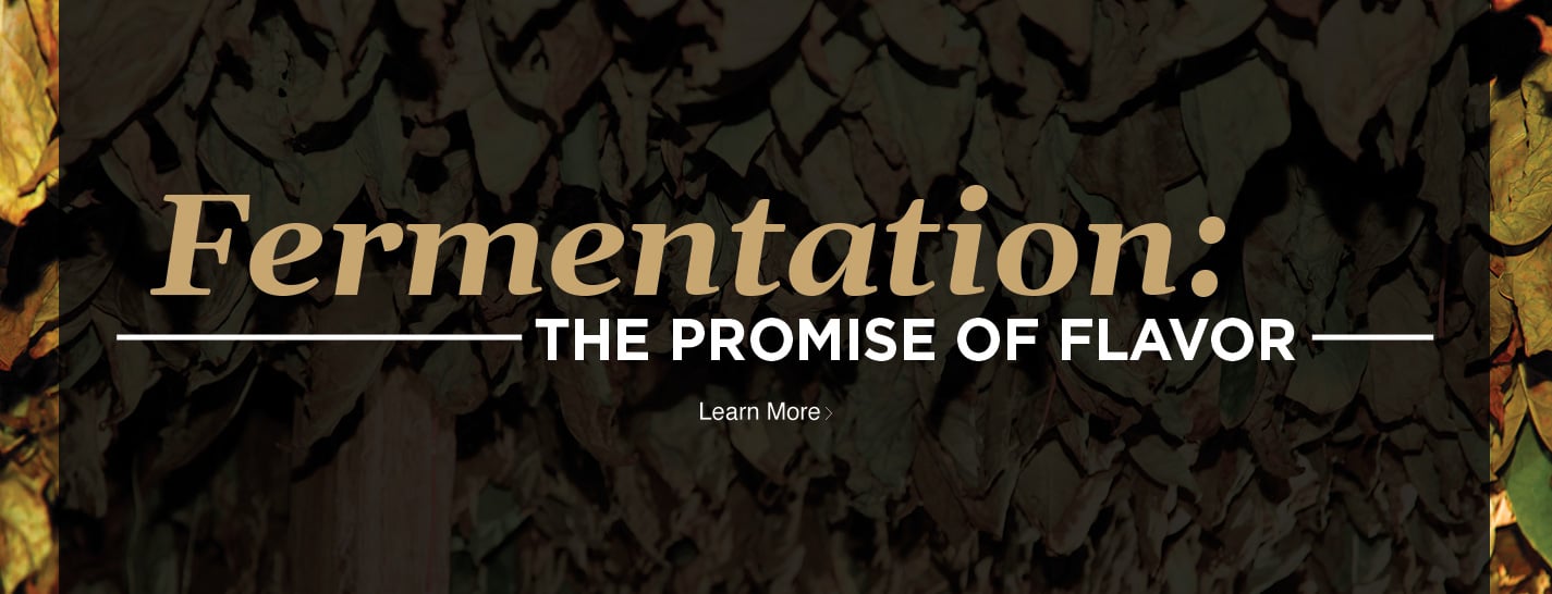Fermentation: The Promise of Flavor