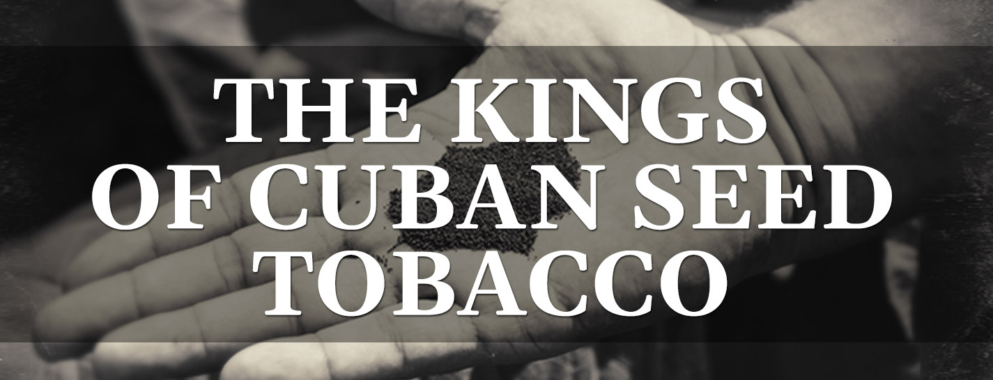 The Kings Of Cuban Seed Tobacco