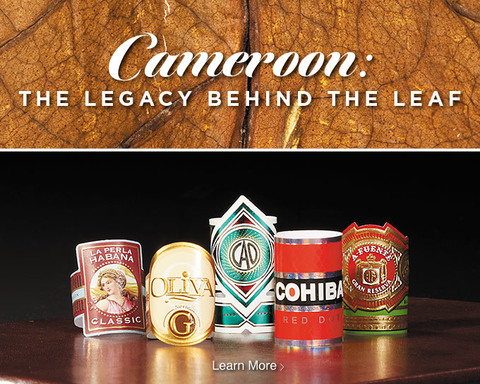 Everything you need know about Cameroon! | Learn More