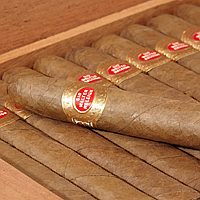 Sir Walter Raleigh Coronas Superba c.1950 Cigars