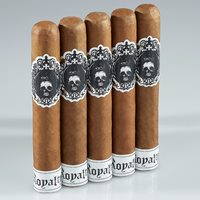 Royalty Gran Toro (Gordo) (6.0"x60) Pack of 5