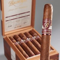 Balmoral Anejo XO Nicaragua Cigars
