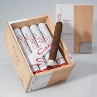 Cain Maduro 550 Tubos Cigars