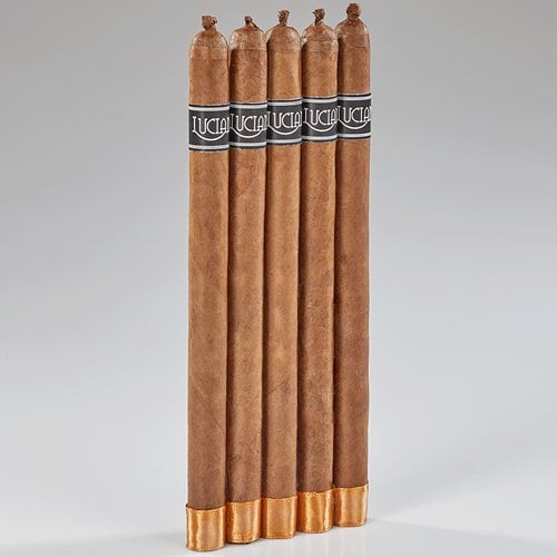 ACE Prime Luciano - The Dreamer Lancero (7.5"x38) Pack of 5